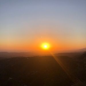 Meet your Posher, Annabelle